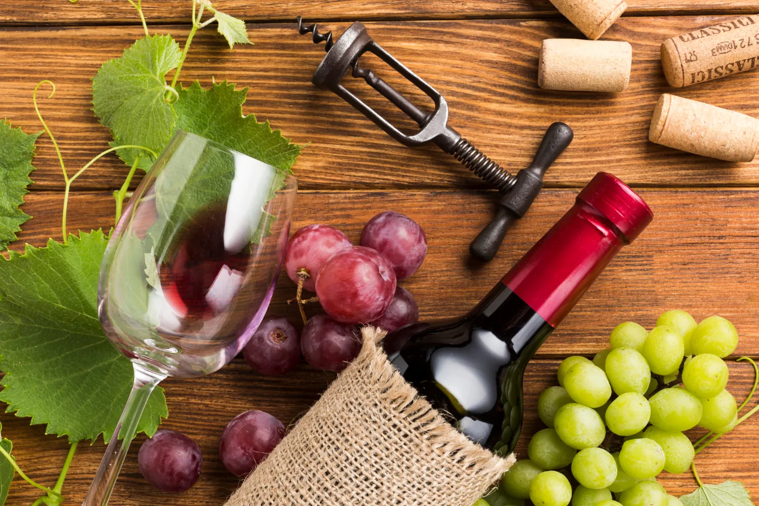 Procesos artesanales para un vino auténtico